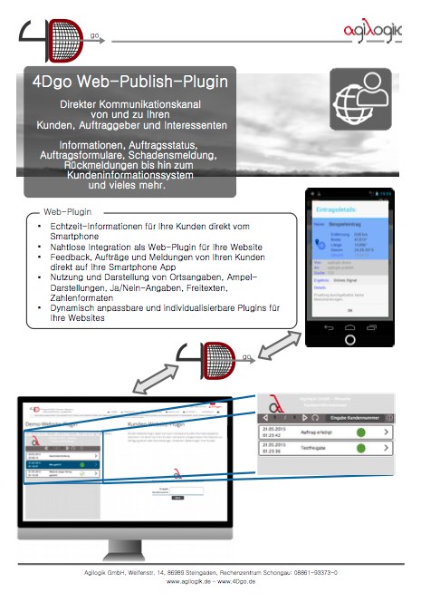 4Dgo Publish Web-Plugin Kurzanleitung