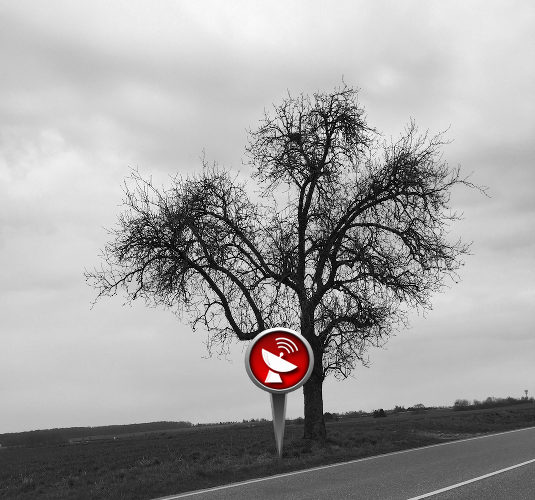 Baumkontrolle - Verkehrssicherheit bewerten und Aufgaben per Smartphone und GPS erfassen